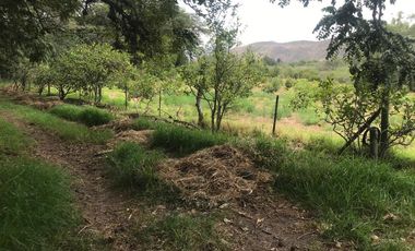 En venta tres hectáreas en Guayllabamba. Quito.