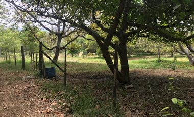 En venta tres hectáreas en Guayllabamba. Quito.