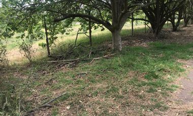 En venta tres hectáreas en Guayllabamba. Quito.