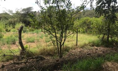 En venta tres hectáreas en Guayllabamba. Quito.