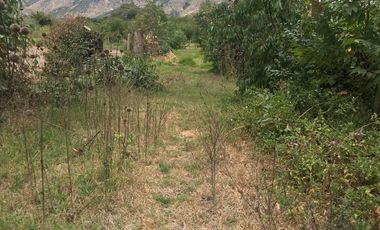 En venta tres hectáreas en Guayllabamba. Quito.