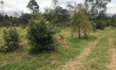 En venta tres hectáreas en Guayllabamba. Quito.
