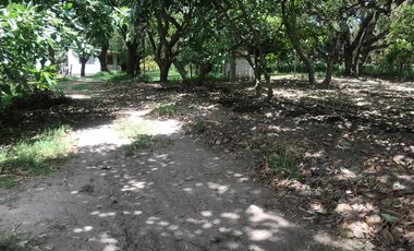 En venta tres hectáreas en Guayllabamba. Quito.