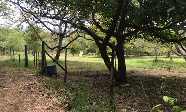 En venta tres hectáreas en Guayllabamba. Quito.