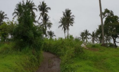 MC - For Sale : 5 Hectares Lot in Paraiso, Lemery, Batangas