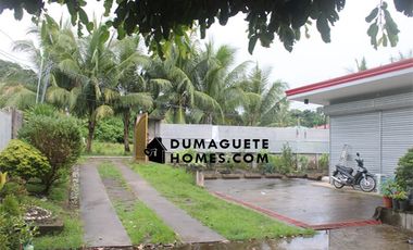 4 BEDROOM MODERN HOME  FOR SALE IN DUMAGUETE