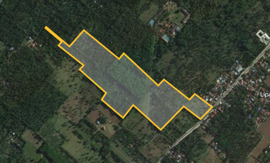 FOR SALE: 12 Hectares Agricultural Lots along Lipa - Alaminos Road, Lipa City