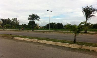 Terreno Repobladores.