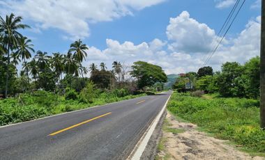 EN VENTA TERRENO DE 18262 M2 KM 17.5 CARRETERA ACAPULCO / ZIHUATANEJO BAJOS DEL EJIDO