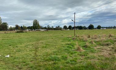 Excelente parcela en Rio Bueno, sector Crucero Collico