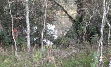 Excelente parcela en Rio Bueno, sector Crucero Collico