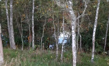 Excelente parcela en Rio Bueno, sector Crucero Collico