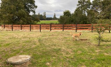 Excelente parcela en Rio Bueno, sector Crucero Collico