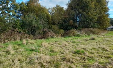 Excelente parcela en Rio Bueno, sector Crucero Collico