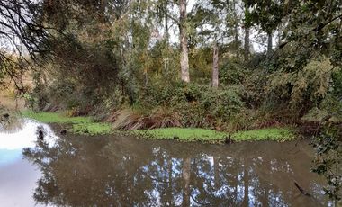 Excelente parcela en Rio Bueno, sector Crucero Collico