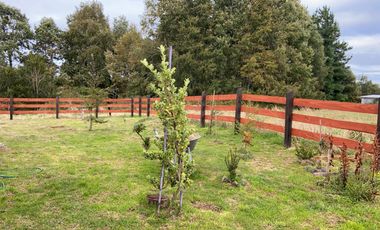 Excelente parcela en Rio Bueno, sector Crucero Collico