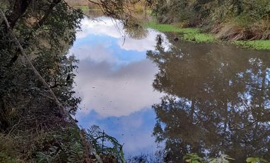 Excelente parcela en Rio Bueno, sector Crucero Collico