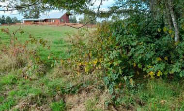 Excelente parcela en Rio Bueno, sector Crucero Collico