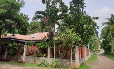 House & Lot For Sal 