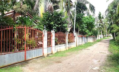 House & Lot For Sal 