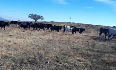 # Casco de Hacienda con Terreno en 420 Has en El Estado de Hidalgo.