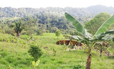 Se vende finca 330 hectáreas ,Yacopi – Cundinamarca