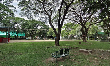 800 sqm Vacant Lot for Sale in Alabang Hills, Muntinlupa City