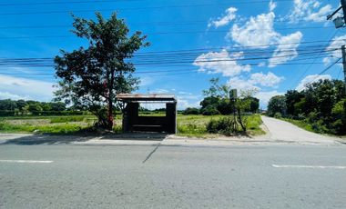 FOR SALE LAND IN PAMPANGA ALONG PROVINCIAL HIGHWAY IDEAL FOR MIXED USE DEVELOPMENT