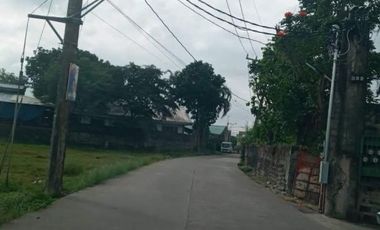 4 Hectares Industrial Lot for Sale in Brgy. San Roque, Pandi, Bulacan near Pandi Bypass Road