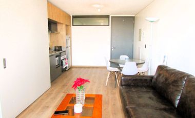 Dpto en Ñuñoa de 1 Dorm, 1 Baño. Rodrigo de Araya / Av. Marathón.