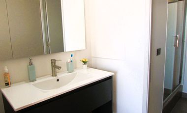 Dpto en Ñuñoa de 1 Dorm, 1 Baño. Rodrigo de Araya / Av. Marathón.