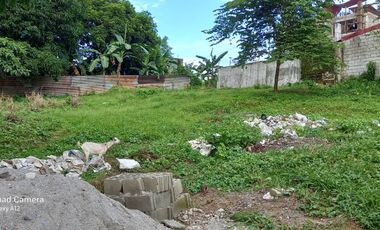 Amparo Caloocan 500 sqm Lot for sale good for warehouse