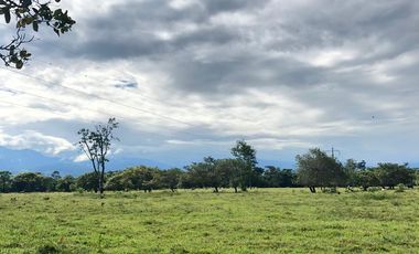 Vendo  hermosa finca ,Acacias Meta