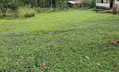 Vendo  hermosa finca ,Acacias Meta