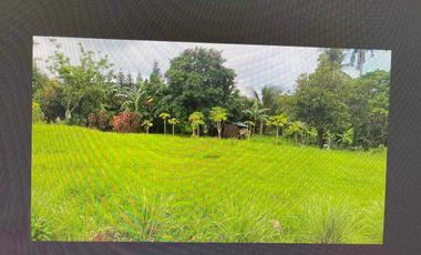 The Plantation Hills @ Tagaytay Midlands for Sale! 1,532sqm w membership for only 36M