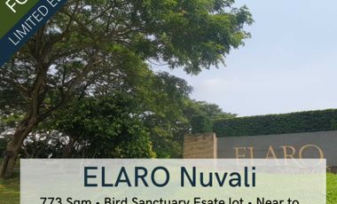 For Sale: Rare Elaro Nuvali Lot