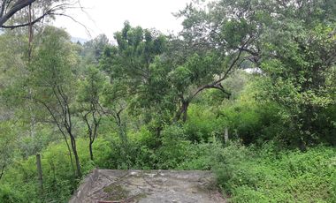 TERRENO RUSTICO, MUNICIPIO DE NEPANTLA DE SOR JUANA INES DE LA CRUZ