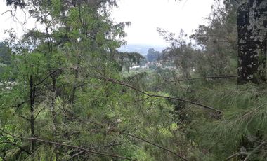 TERRENO RUSTICO, MUNICIPIO DE NEPANTLA DE SOR JUANA INES DE LA CRUZ