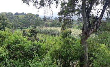TERRENO RUSTICO, MUNICIPIO DE NEPANTLA DE SOR JUANA INES DE LA CRUZ