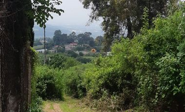 TERRENO RUSTICO, MUNICIPIO DE NEPANTLA DE SOR JUANA INES DE LA CRUZ
