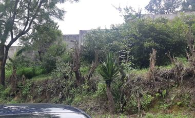 TERRENO RUSTICO, MUNICIPIO DE NEPANTLA DE SOR JUANA INES DE LA CRUZ