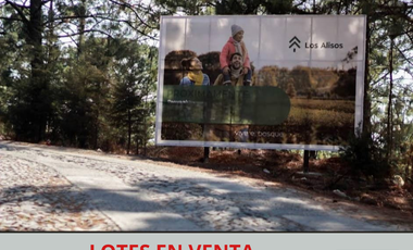 LOTES EN RESIDENCIAL LOS ALISOS, MAZAMITLA, JAL.