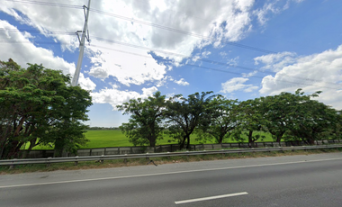 FOR SALE: Agricultural Lot - LA: 101,984 Sqm., Apalit, Pampanga