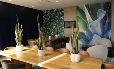 MAGNIFICO DEPARTAMENTO EN RENTA EN DÙO24 EN COLONIA LOMA BONITA
