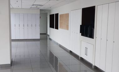 OFICINA EN RENTA DE 256m2 EN LA TORRE FINANCIERA $73,225 + mtt.