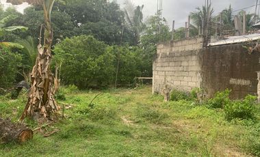 RESIDENTIAL LOT FOR SALE WITH FIXER UPPER HOUSE ID 14878