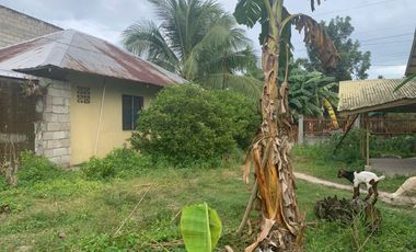 RESIDENTIAL LOT FOR SALE WITH FIXER UPPER HOUSE ID 14878