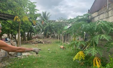 RESIDENTIAL LOT FOR SALE WITH FIXER UPPER HOUSE ID 14878