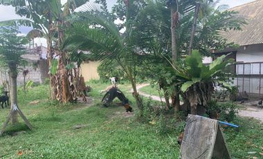 RESIDENTIAL LOT FOR SALE WITH FIXER UPPER HOUSE ID 14878