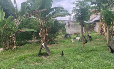 RESIDENTIAL LOT FOR SALE WITH FIXER UPPER HOUSE ID 14878